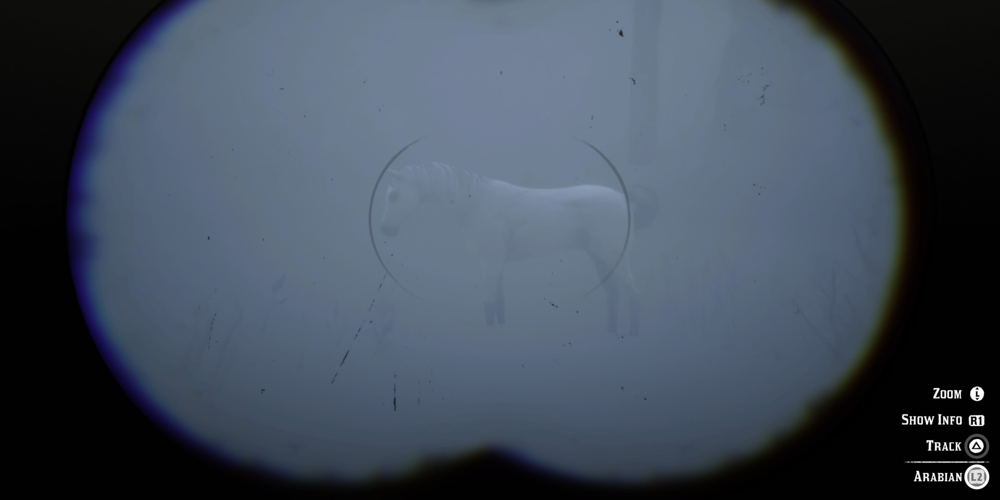 Red Dead Redemption 2 White Arabian Through Binoculars in the middle of a snowstorm
