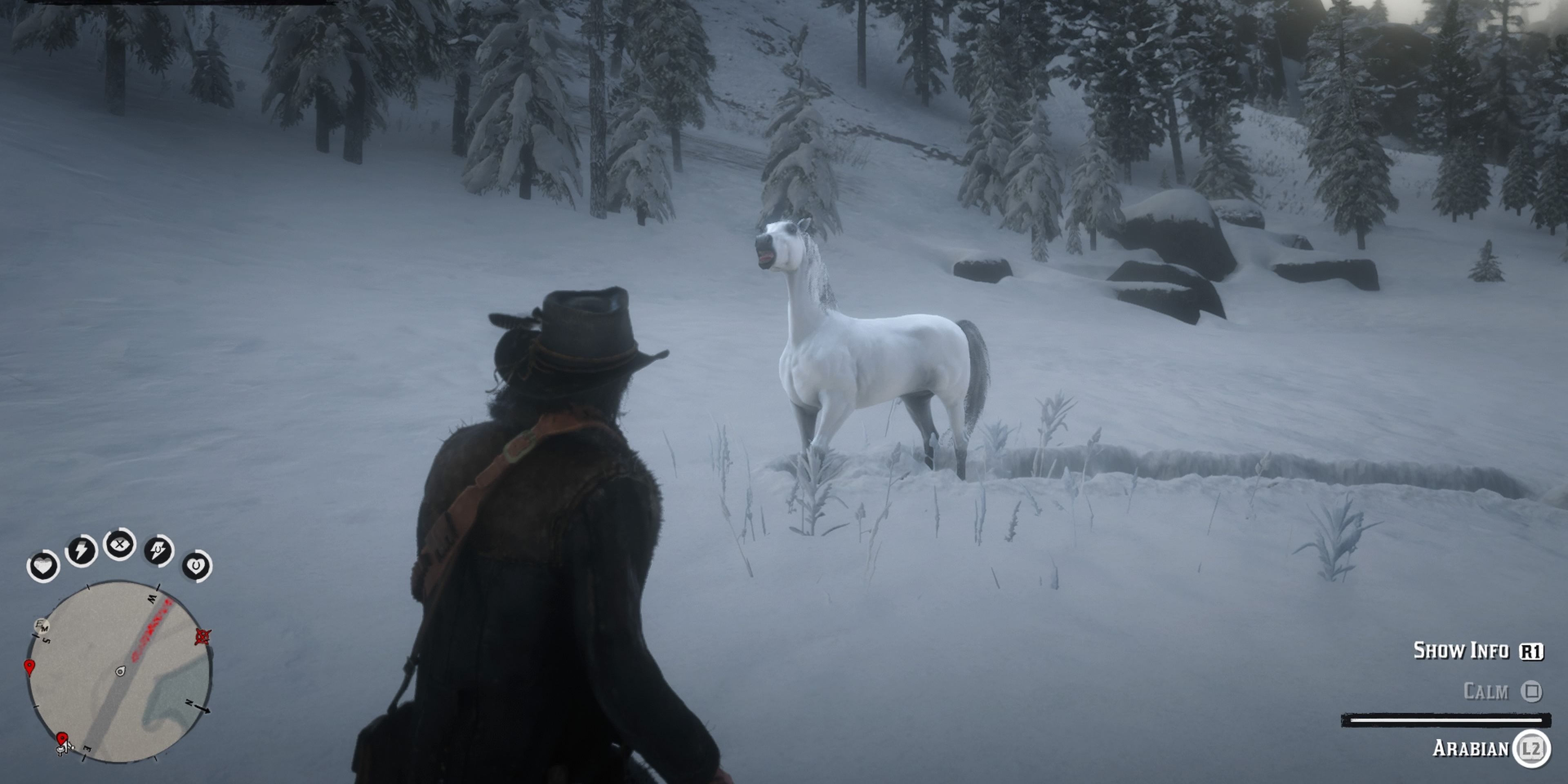 Red Dead Redemption 2 White Arabian Being Calmed Up Close in a snowy field