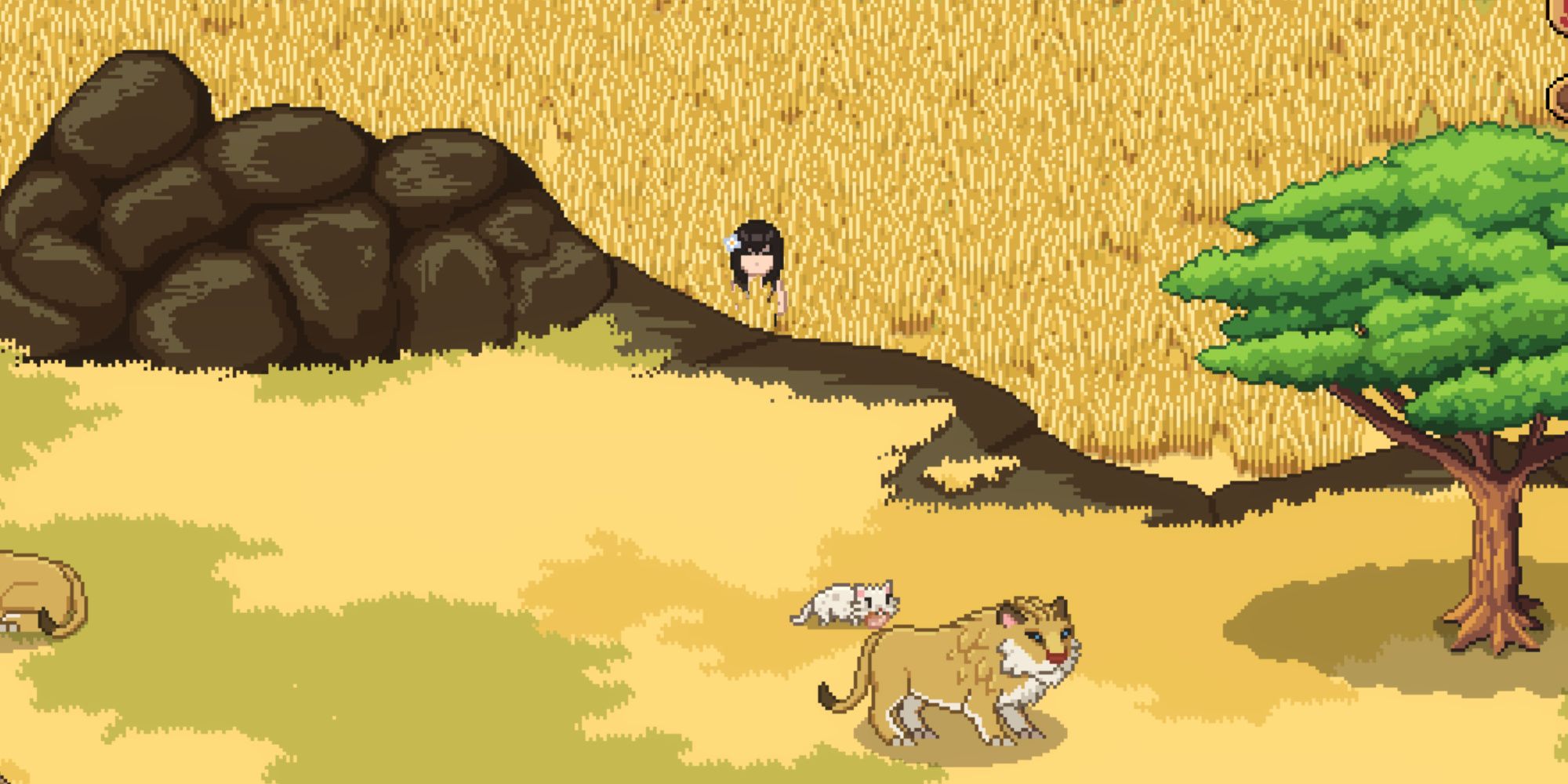 roots of pacha looking at a cave lion on top of a hill in the savanna