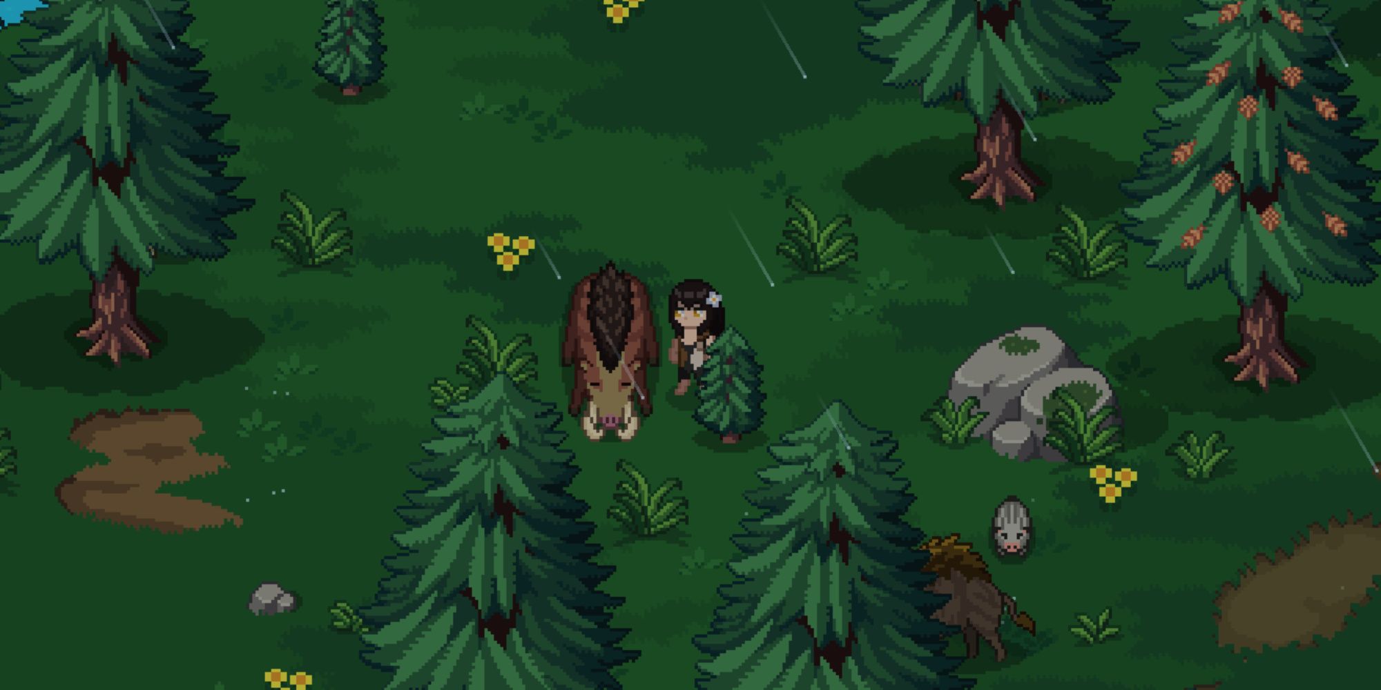 roots of pacha standing next to a wild boar in the forest while it's raining