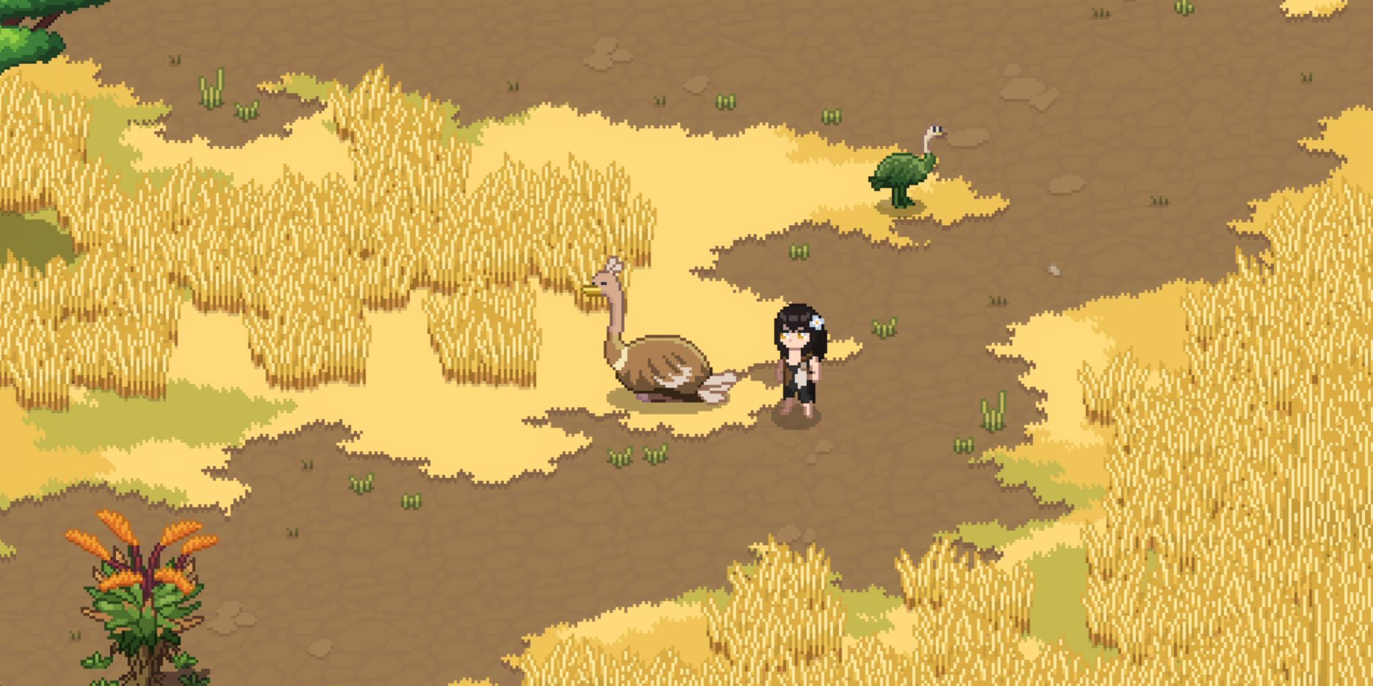 roots of pacha standing next to an ostrich and a baby ostrich in the Savanna