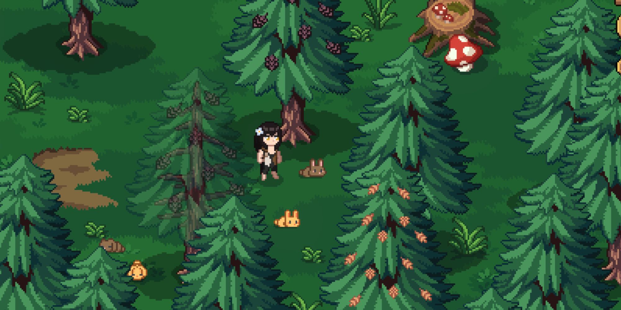 roots of pacha standing next to some baby bunnies in the forest