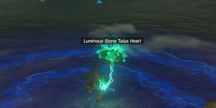 stone talus heart