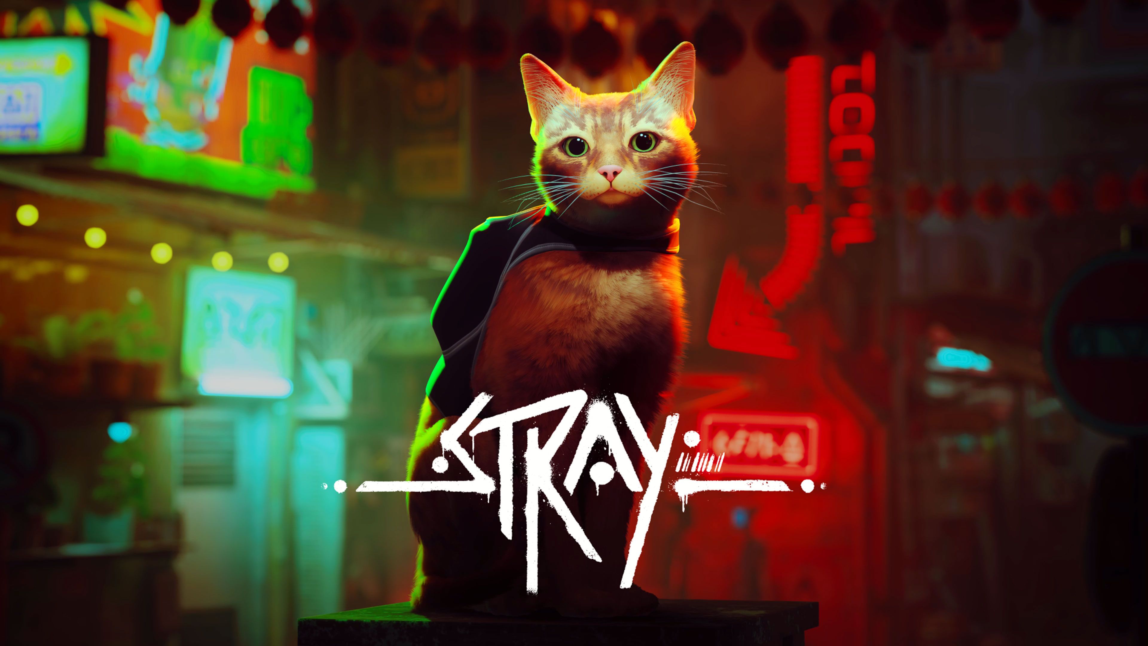 Stray Xbox Release Date