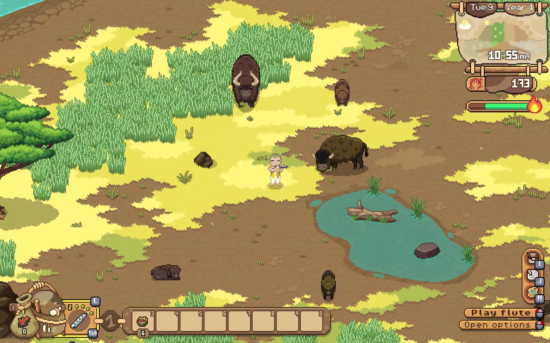 Playing the flute for a group of buffalo.