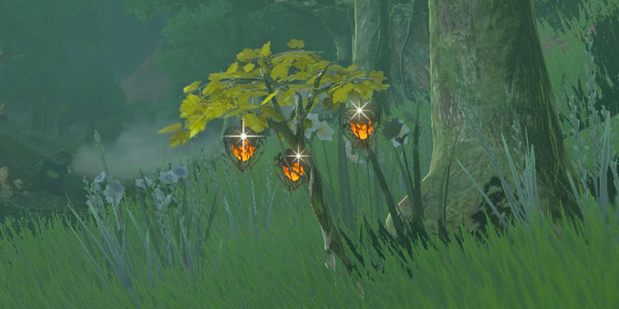 tears of the kingdom fire fruit tree growing