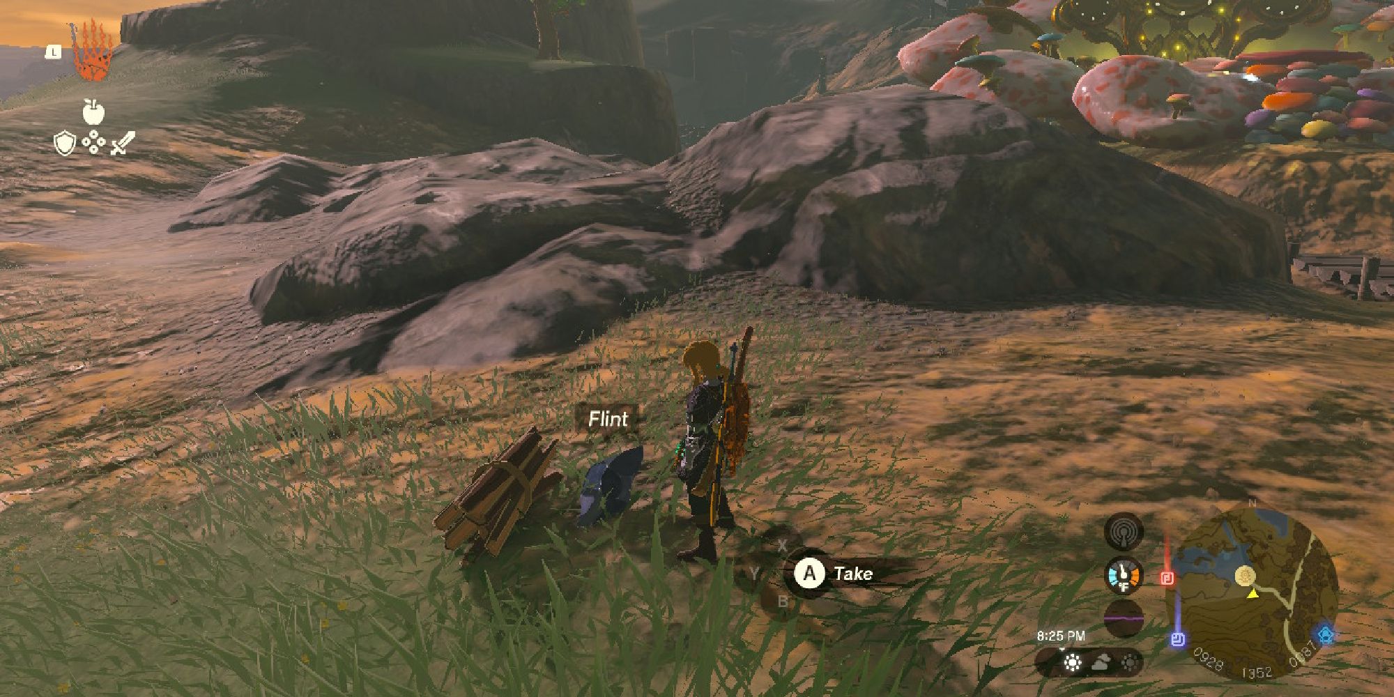 tears of the kingdom flint and wood in front of link