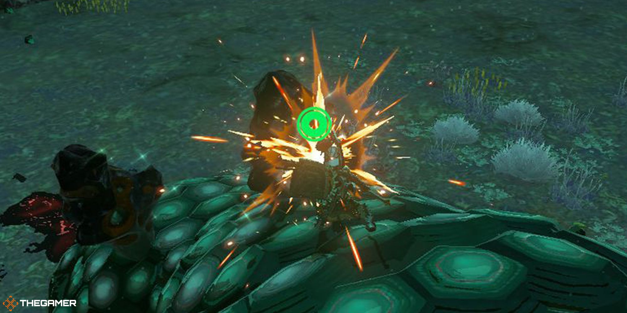 Tears of the Kingdom - Link attacking a Frox