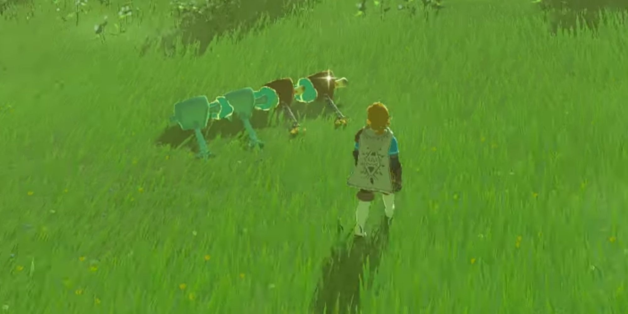 Link in front of four swords with meat fused to them.
