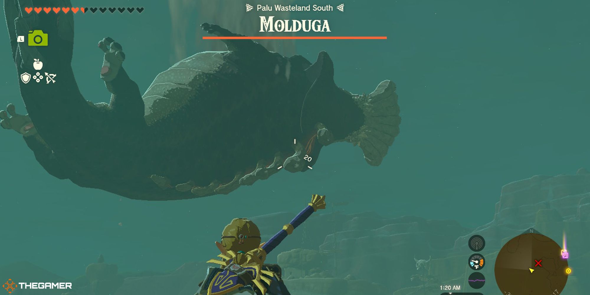 Tears of the Kingdom - Molduga at night and Link