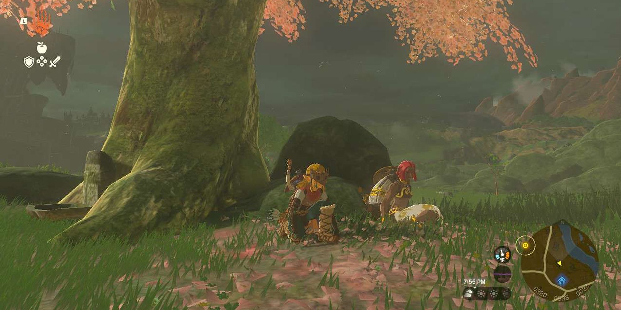 Tears Of The Kingdom Sitting With Konora