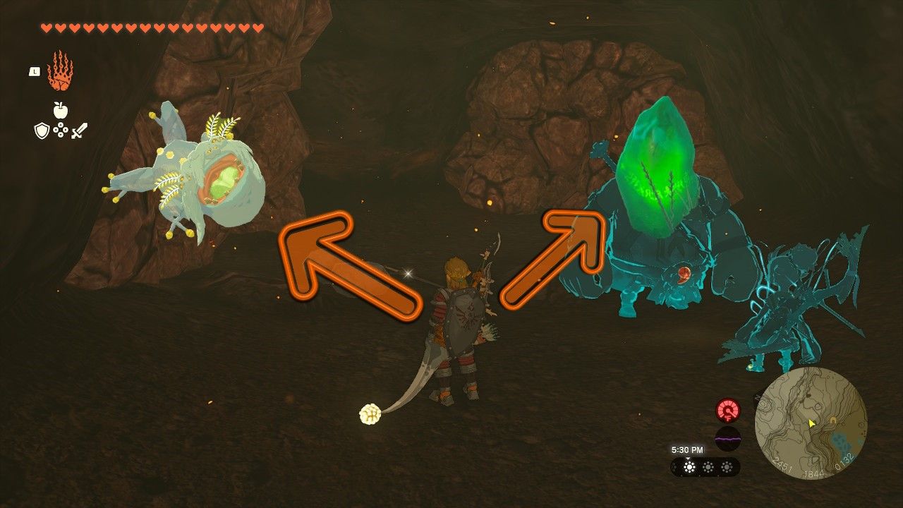 Arrows Show Bubbulfrog On Left Path And Crystal On Right Path
