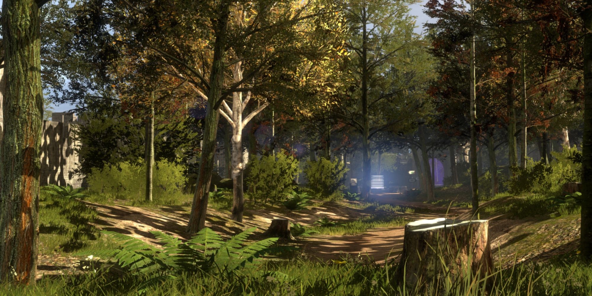 The Talos Principle Woods