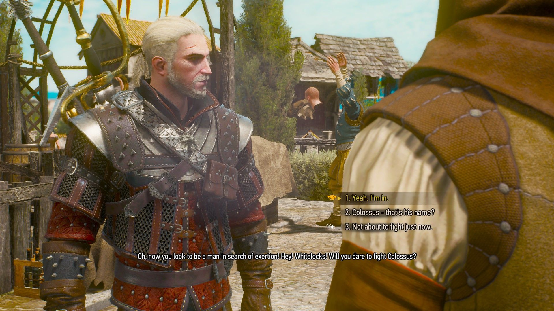 A screenshot of The Witcher 3, with dialogue options for betting visible.