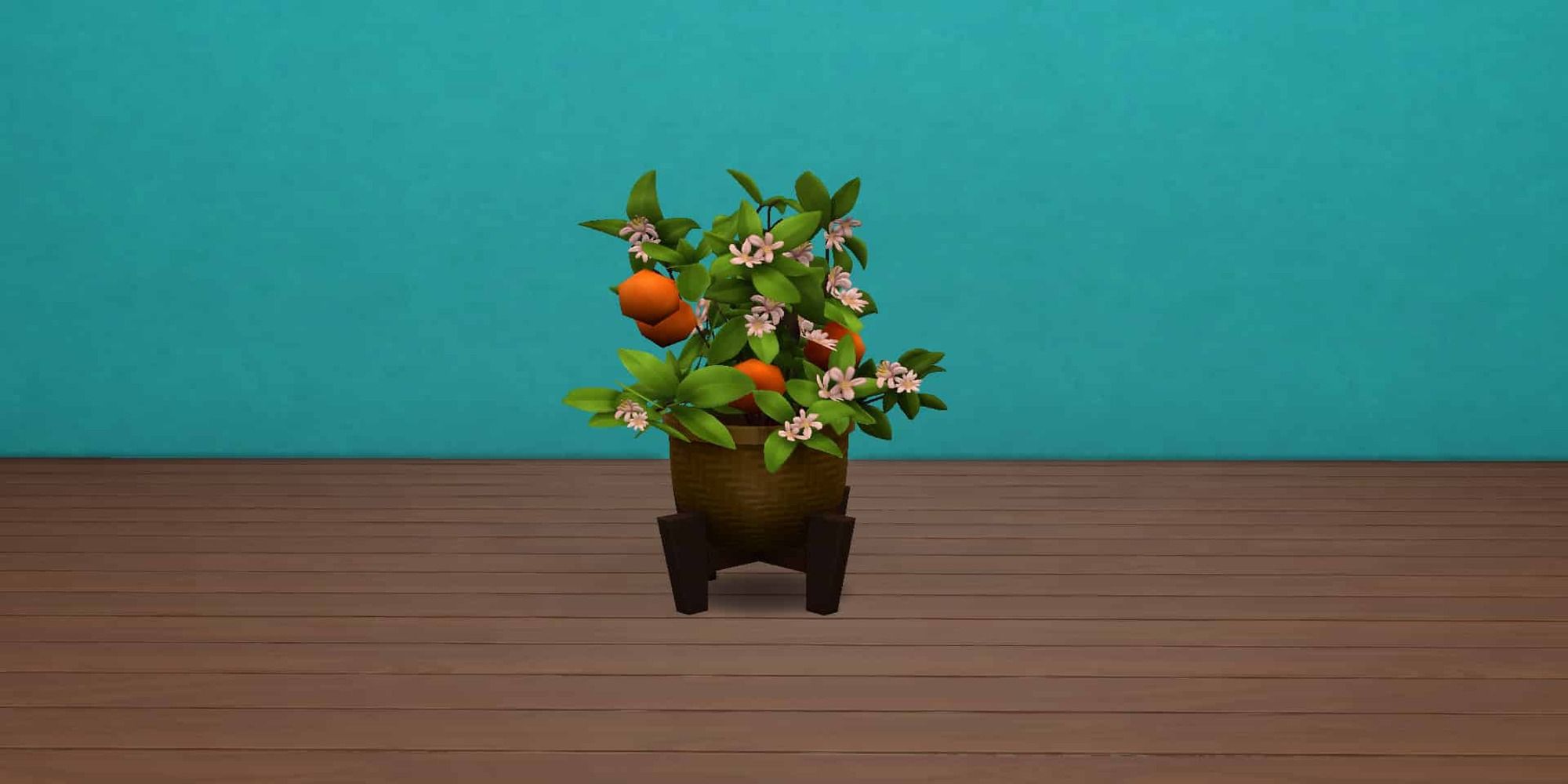 Sunny Days Citrus Plant from Sims 4 Blooming Rooms Kit