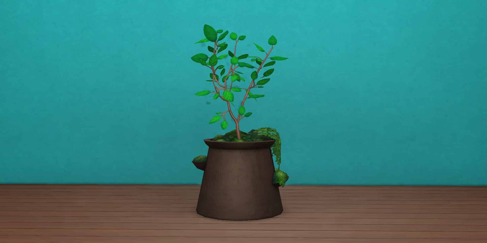 Therapeutic Ficus Sims 4 Blooming Rooms Kit