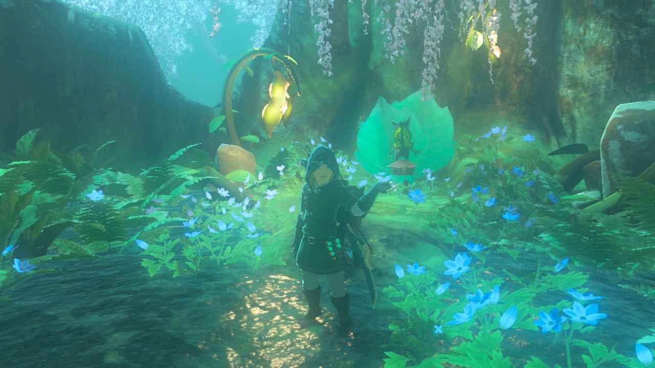 walton location on top of the great deku tree totk tears of the kingdom