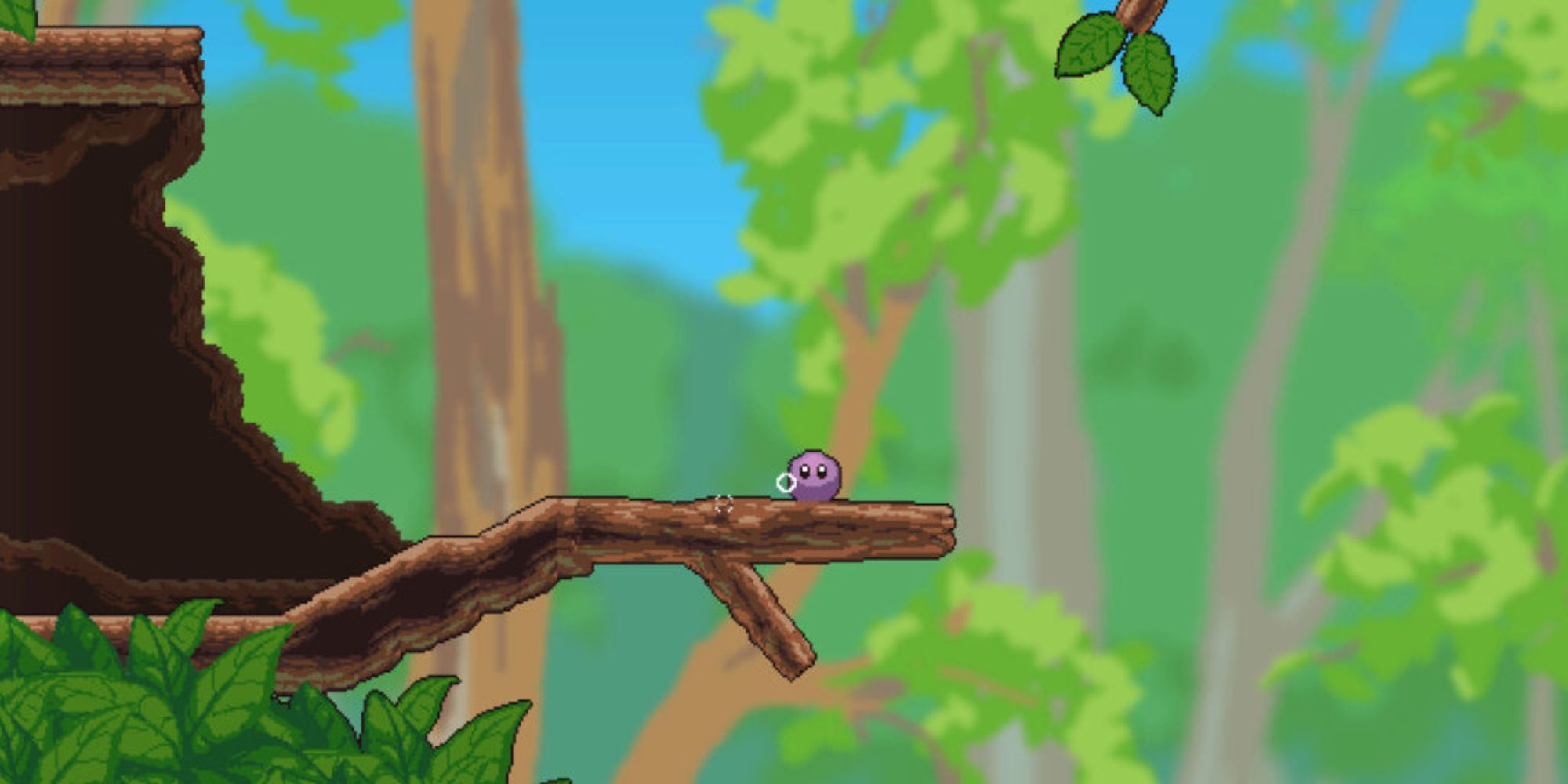 Buddy sits on a branch in a forest