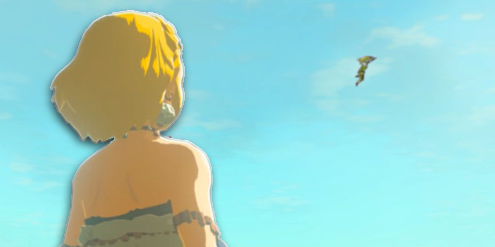 Tears of the Kingdom Zelda Looking at Flying Link 