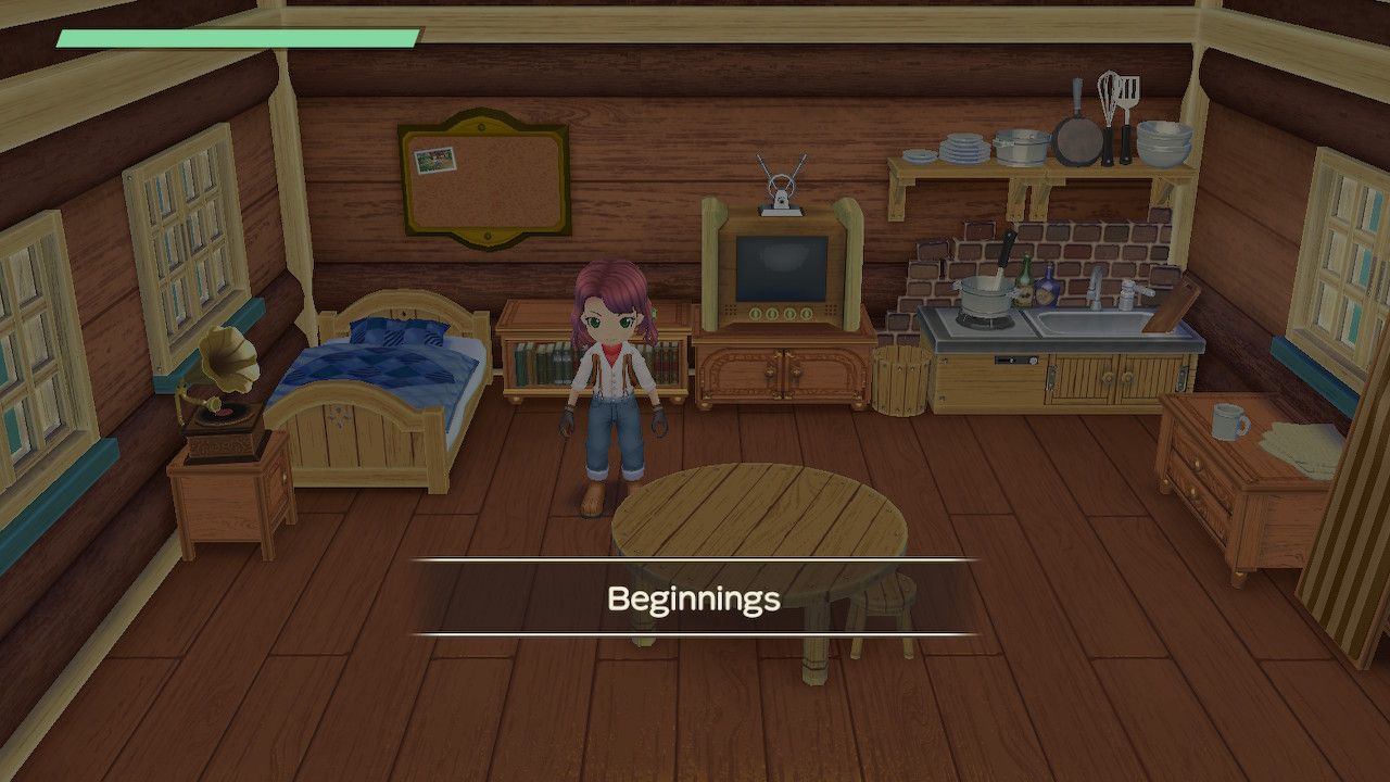 story of seasons a wonderful life how many chapters farmer standing in her house year one