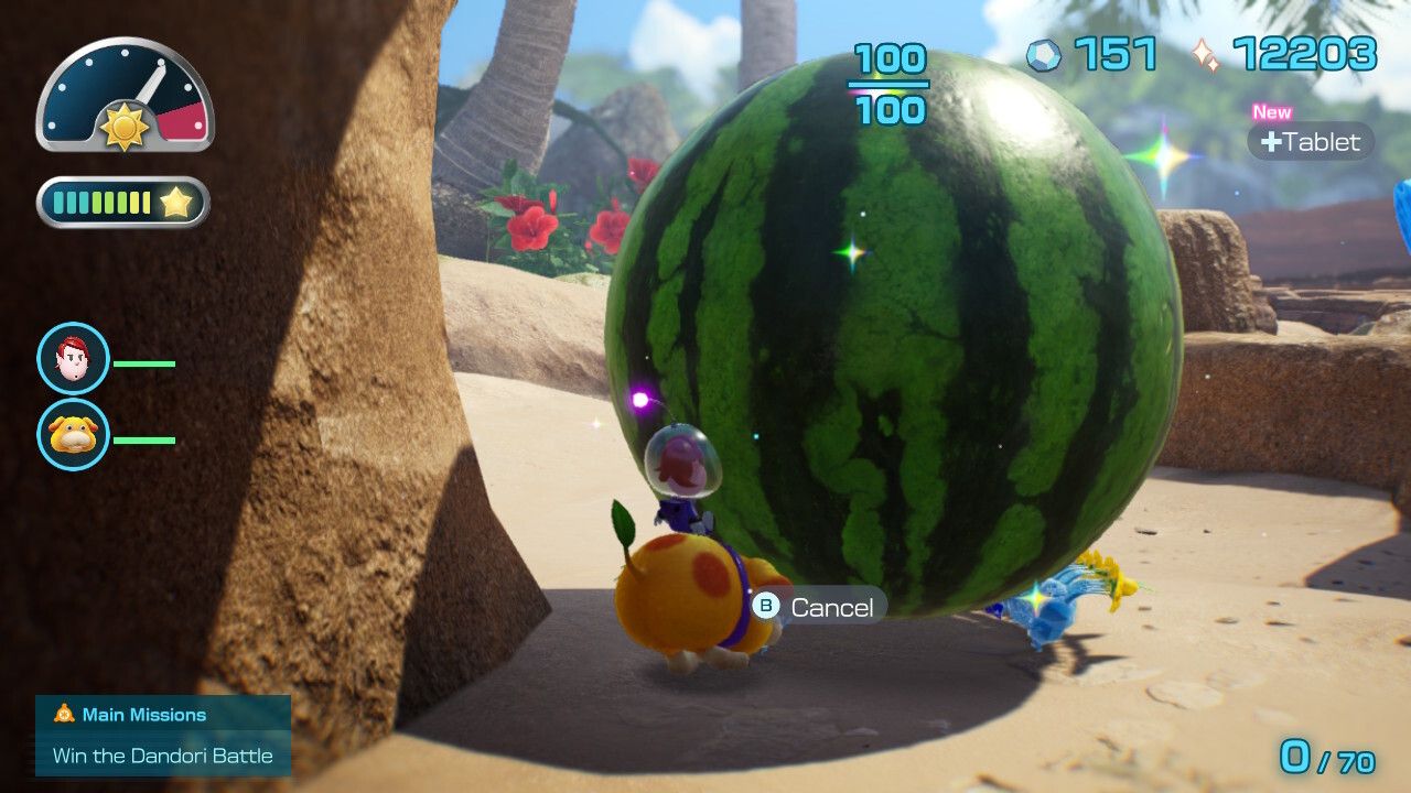 Pikmin 4 Watermelon