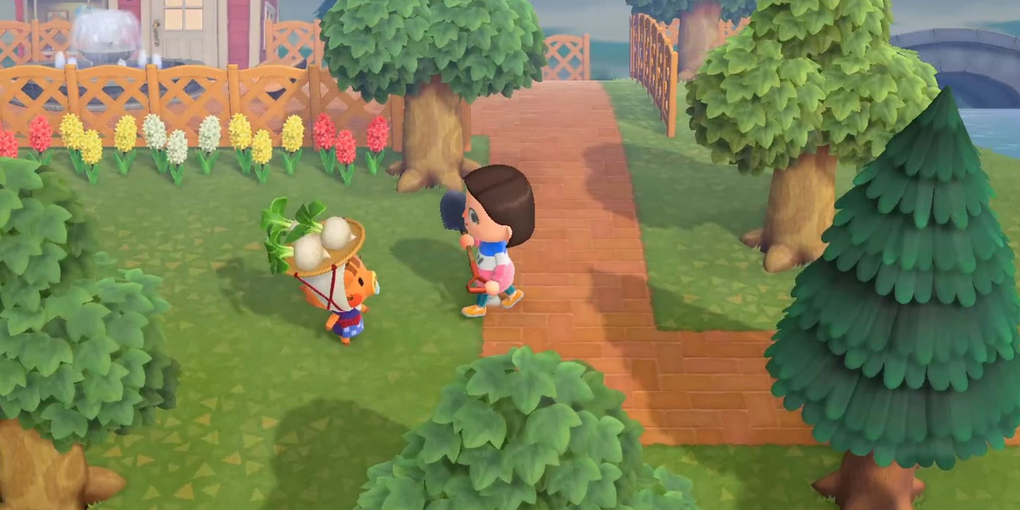 The player, with a shovel in hand, approaches the turnip-selling sow in Animal Crossing: New Horizon.