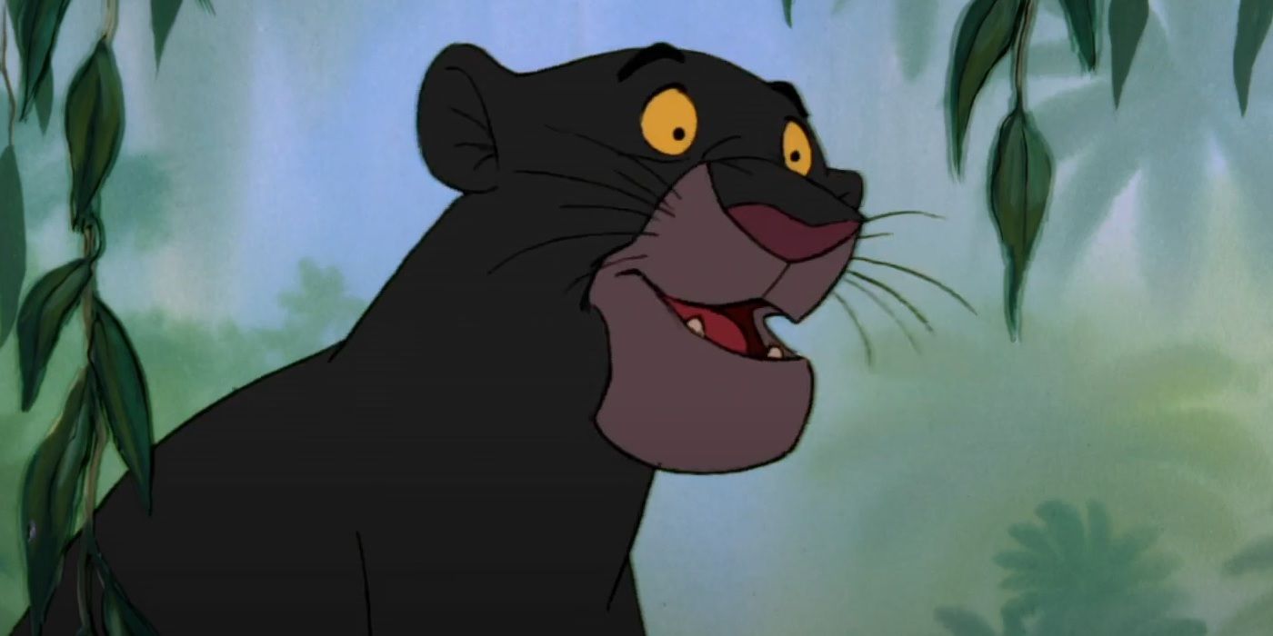 Bagheera in the jungle