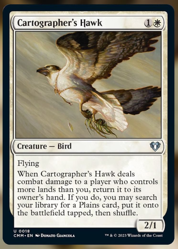 Cartographer's Hawk