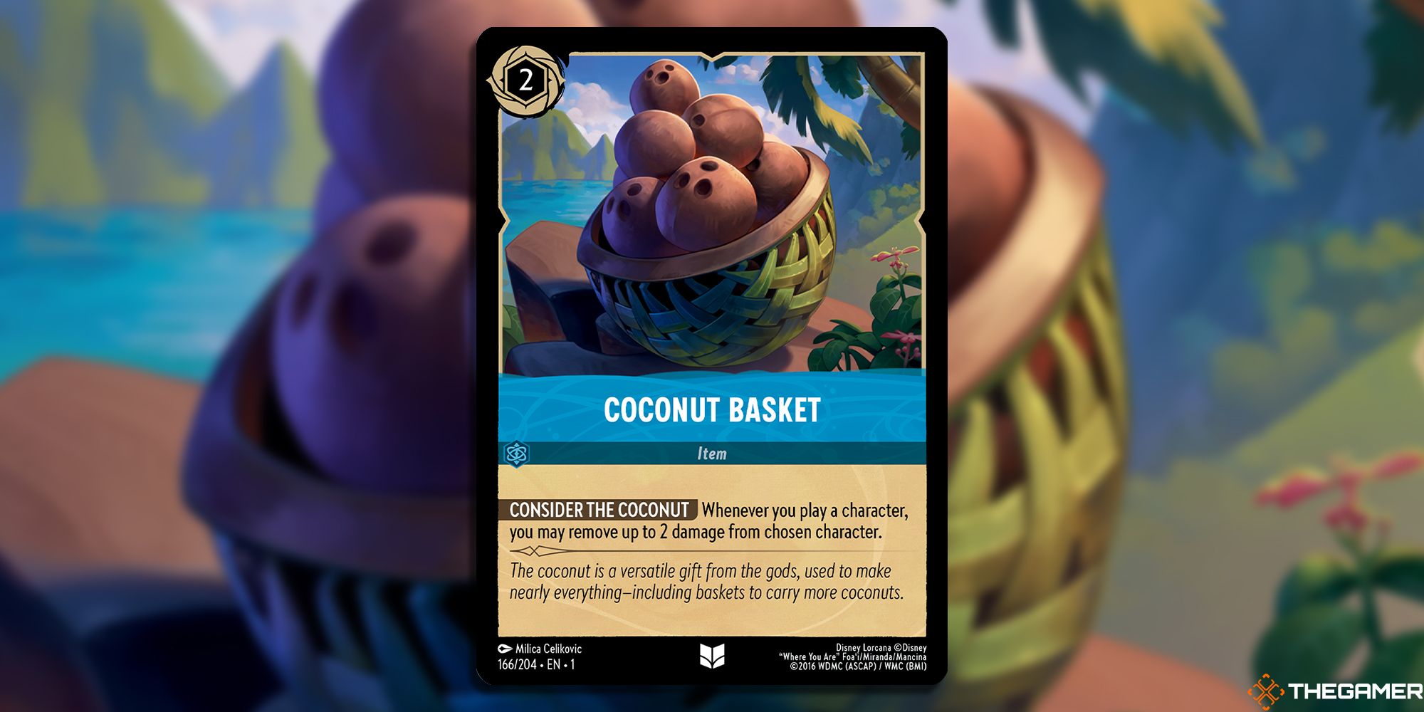 Coconut Basket-1