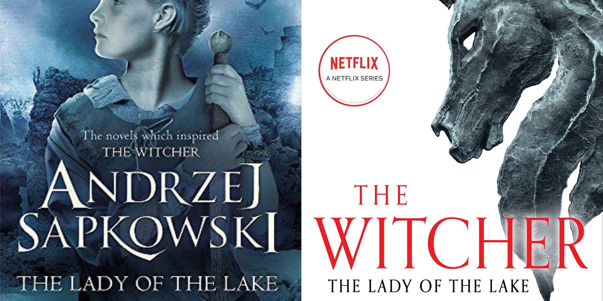 The Witcher - Lady of the Lake book art