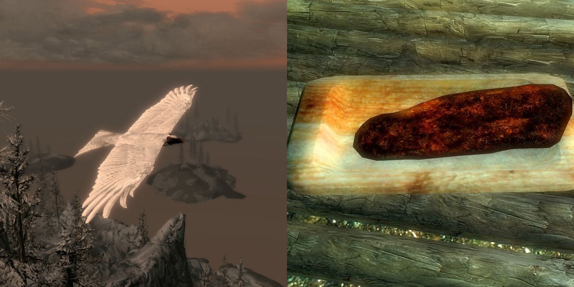 A split image of a white bird flying and some charred Skeever hide on a wooden plate in Skyrim.