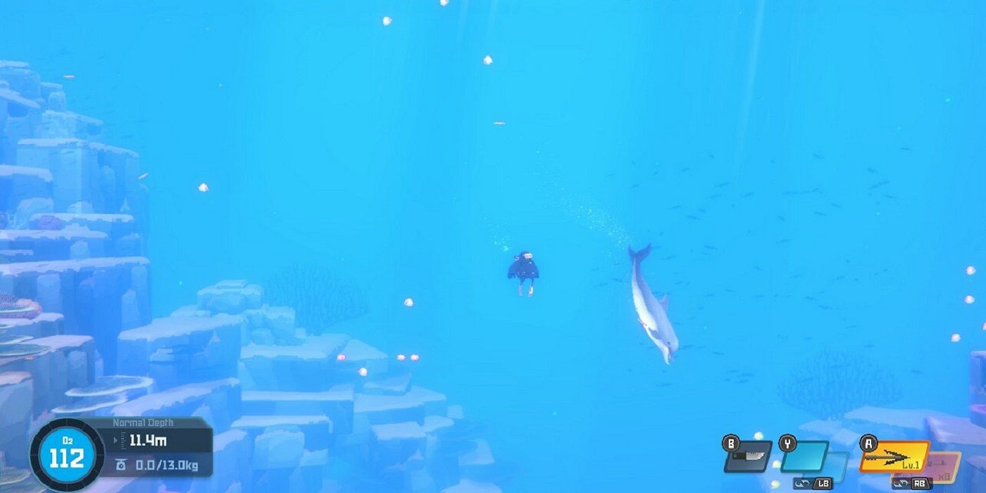 dave the diver dolphin