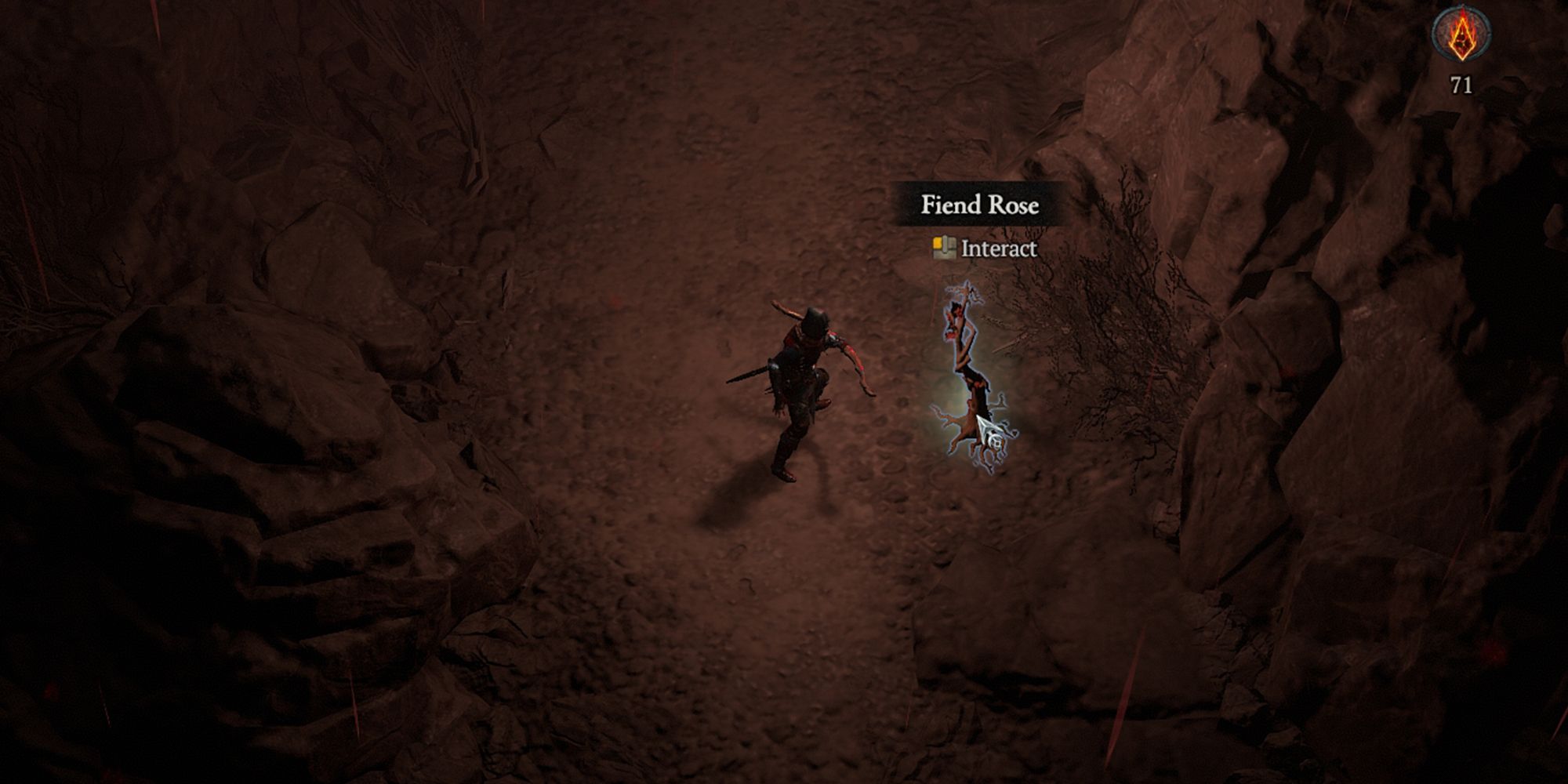 fiend rose plant during helltide