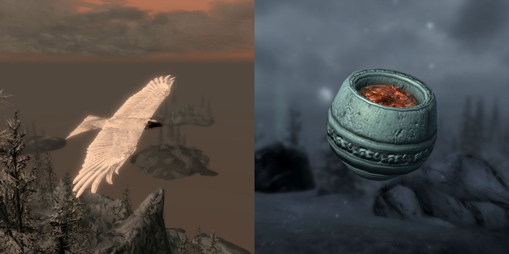 A split image of a white bird and some ash hopper jelly from the Dragonborn DLC in Skyrim.