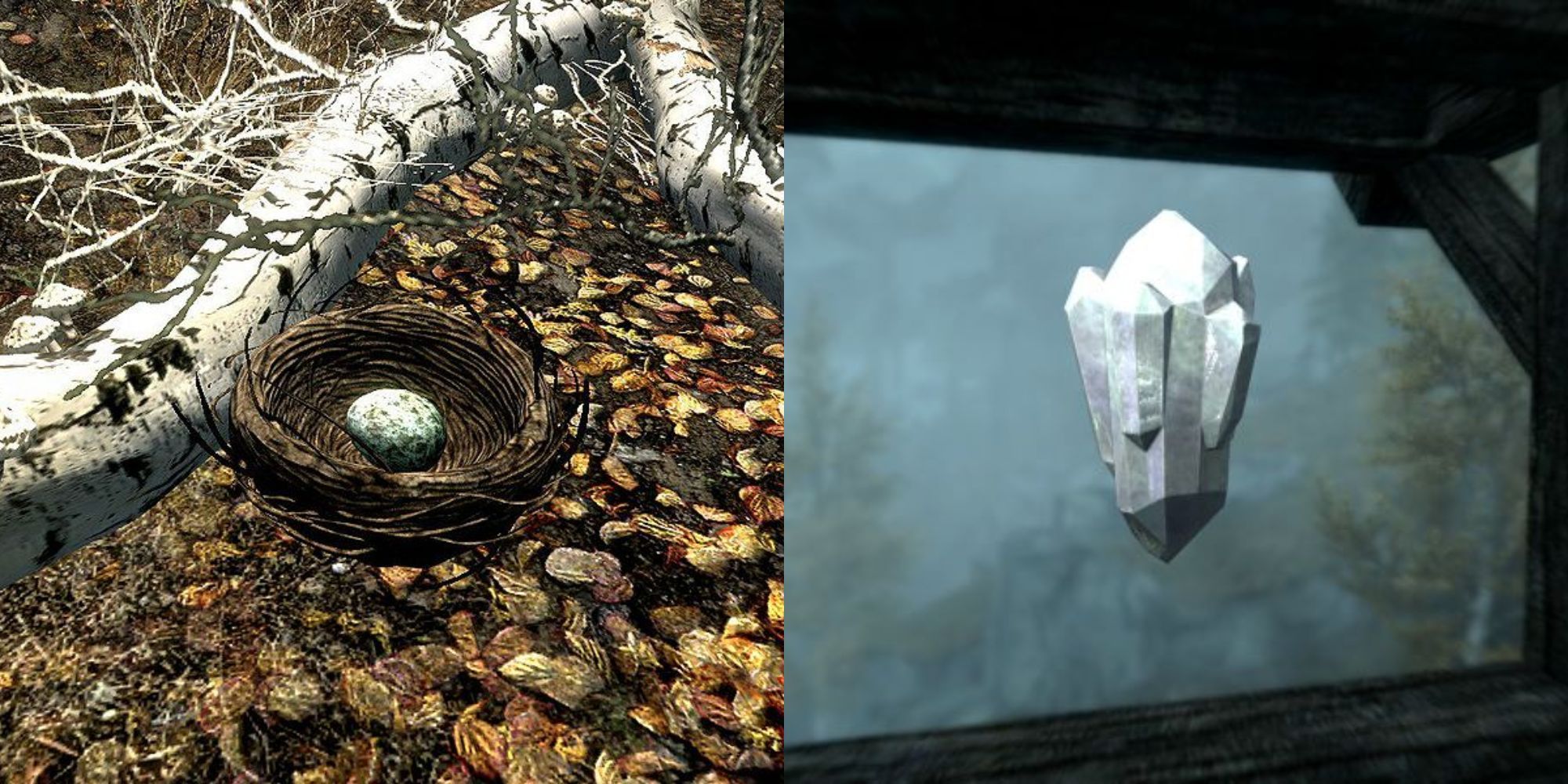 A split image of a single warbler egg in a nest and a crystaline creation club ingredient from Skyrim.