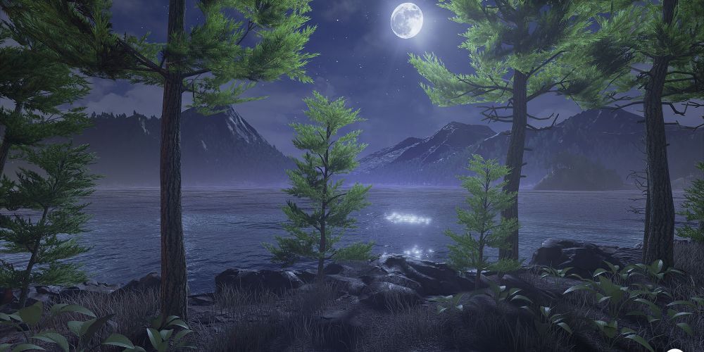 Looking over a pristine lake at night