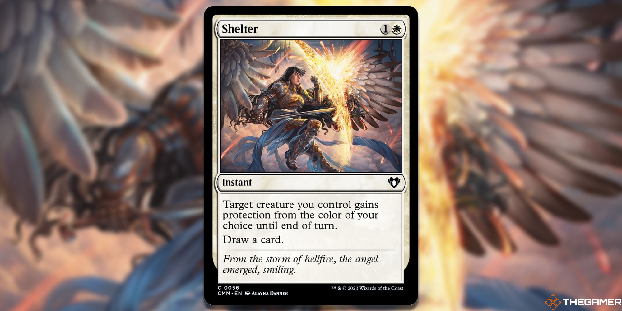 MTG Shelter by Alayna Danner