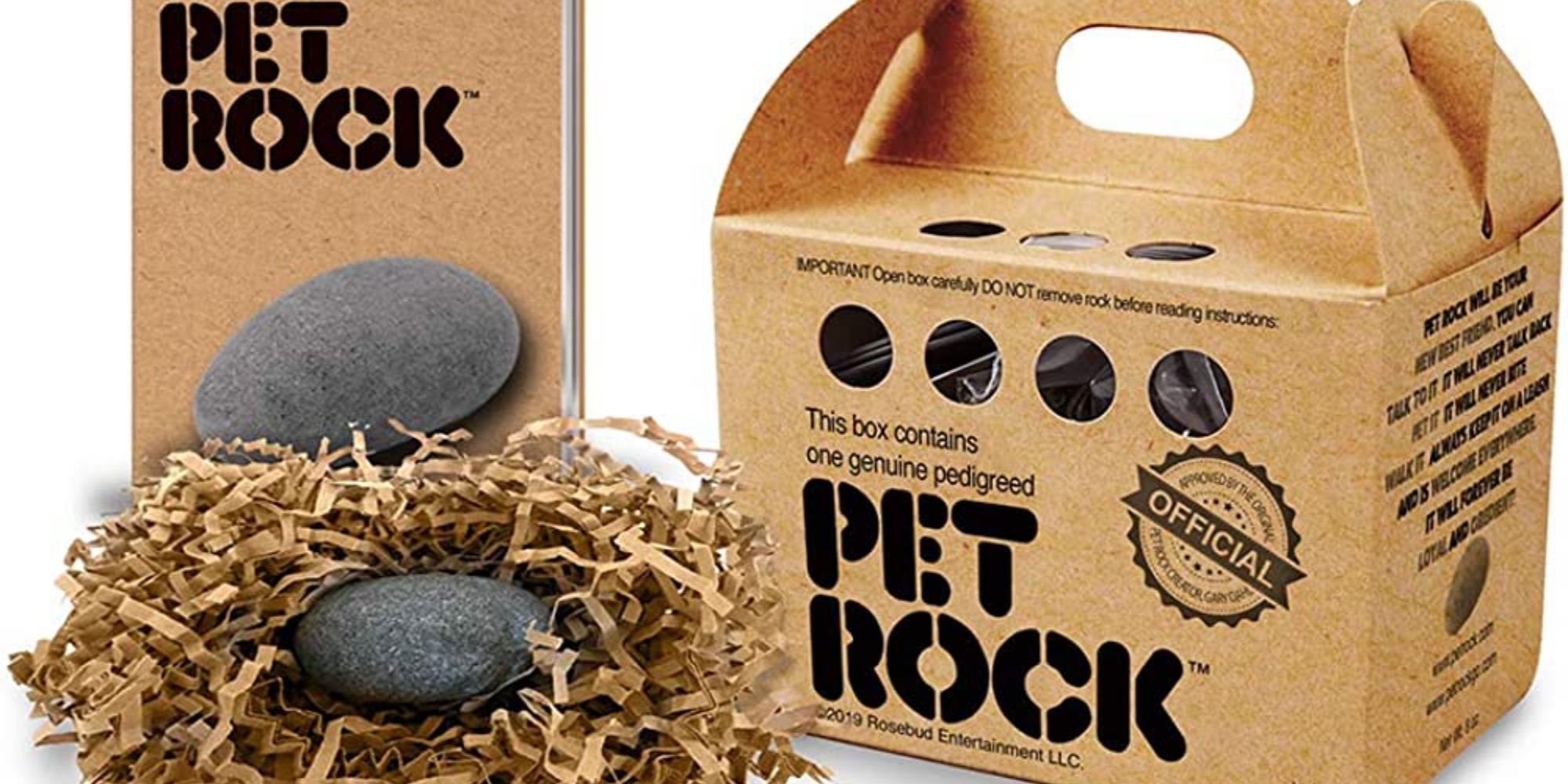 pet rock in box and nest from the 70s
