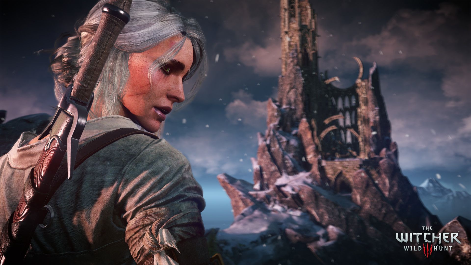 The Witcher 3 