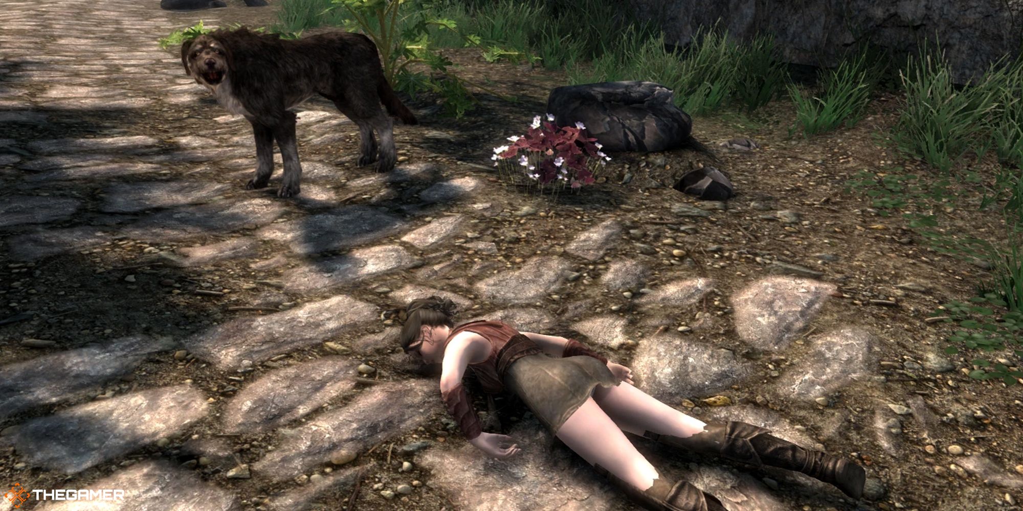 Skyrim - no ash piles mod, corpse next to a dog