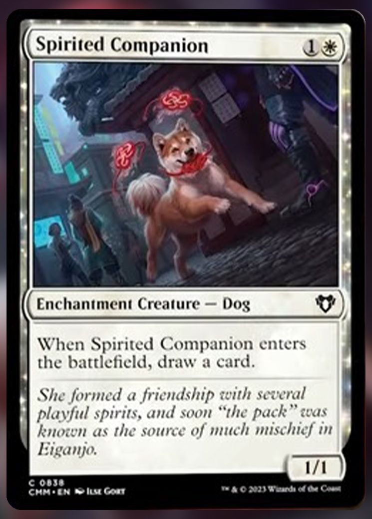 Spirited Companion