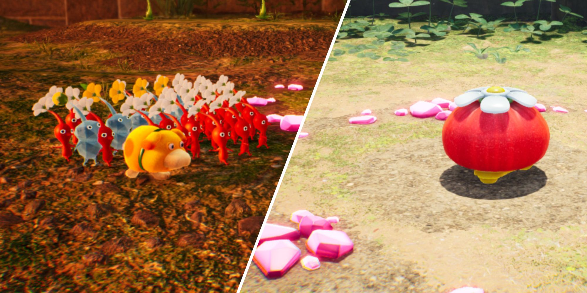 Split image of a Pikmin Group and a Pikmin Onion
