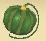 story of seasons a wonderful life custom crop 37