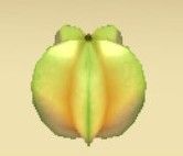 story of seasons a wonderful life custom crop tree 7