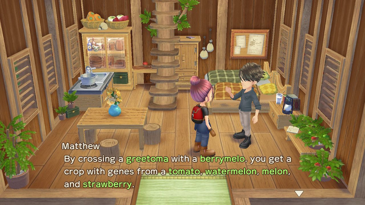 story of seasons a wonderful life custom crops matthew explaining crop genetics