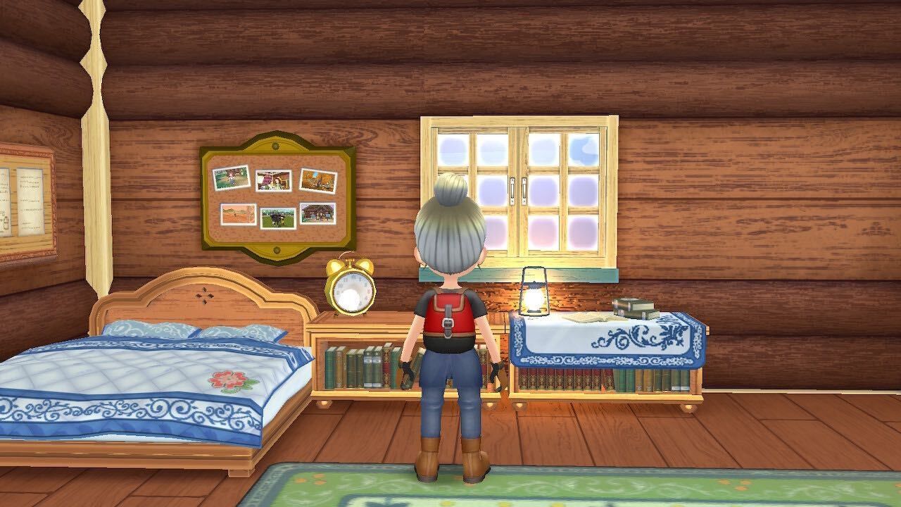 story of seasons a wonderful life heaven mode in your bedroom looking out the window