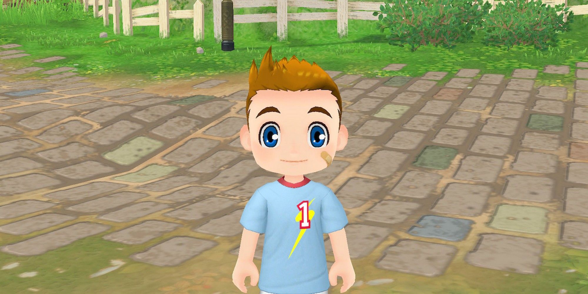 story of seasons a wonderful life hugh year two in town