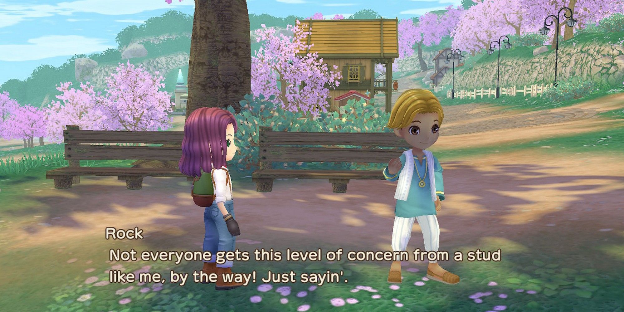 story of seasons a wonderful life rock introducing himself
