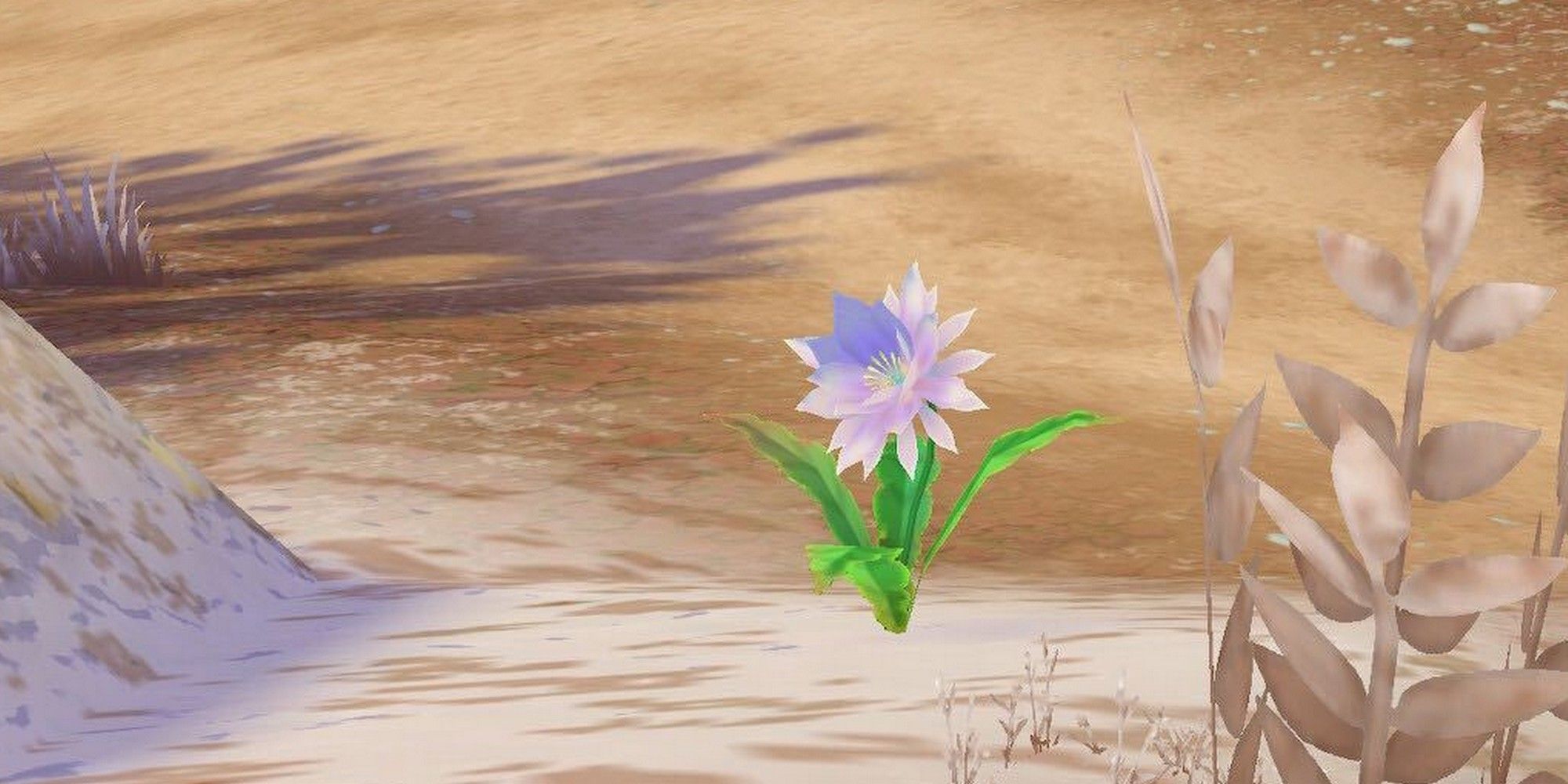 story of seasons a wonderful life upseed flower winter