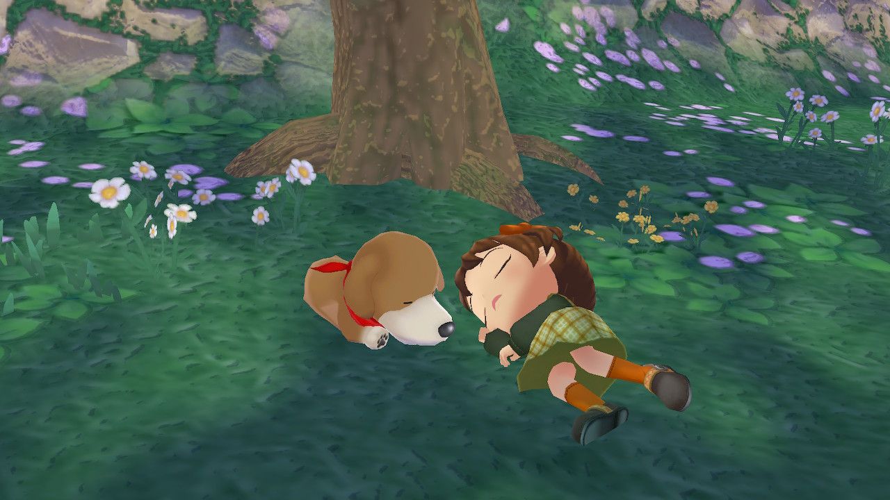 story of seasons a wonderful life your child and dog sleeping outside together